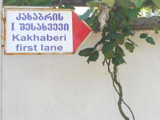 Гостевой дом Hotel Liza Батуми Дом с 2 спальнями-24