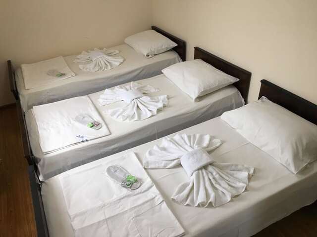 Гостевой дом Hotel Liza Батуми-6